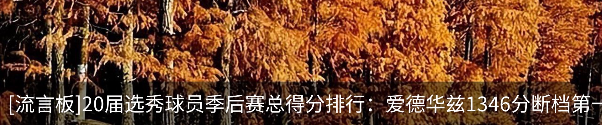 内页banner